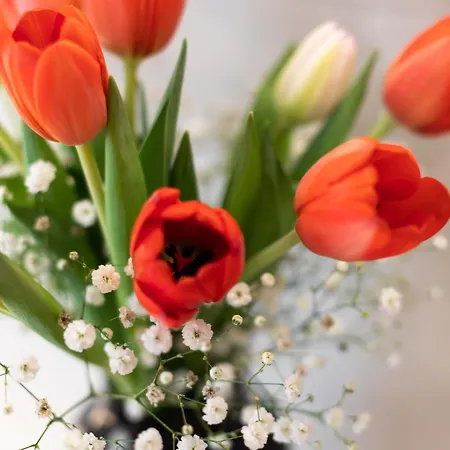 Penzion Sistina Boutique *