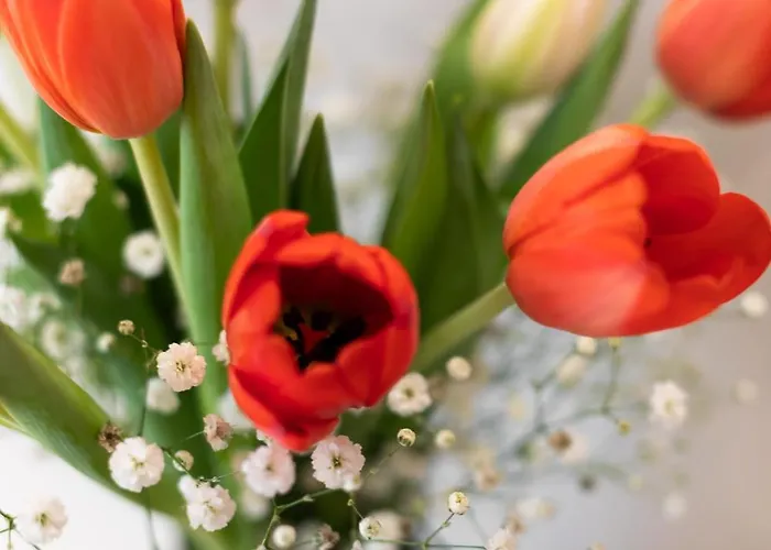 בית הארחה Sistina Boutique *